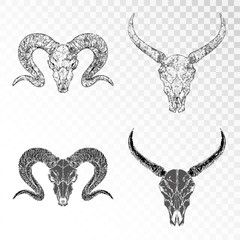 Obraz premium Vector set of hand drawn skulls of horned animals: ram and wild buffalo on transparent background. Black silhouettes and contour with grunge texture.