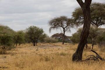 Tansania – Land
