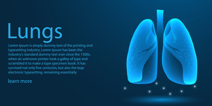 Human Lungs Medical Organ. Low Poly Wireframe Theme Concept 