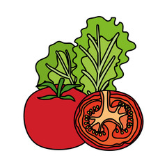 fresh tomatoes and lettuce vegetables healthy