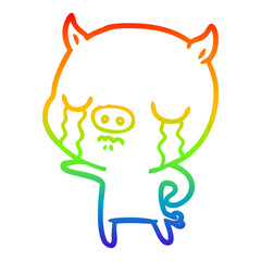 rainbow gradient line drawing cartoon pig crying