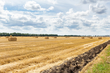 Fototapeta na wymiar harvested grain cereal wheat barley rye grain field, with haystacks straw bales stakes cubic rectangular shape on the cloudy blue sky background, agriculture farming rural economy agronomy concept