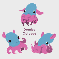 Deepest ocean octopus. Cute Dumbo octopuses character. Grimpoteuthis in the ocean