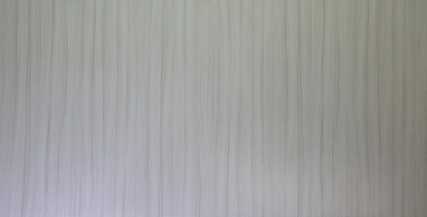 Fototapeta premium Light grey wooden panel background texture