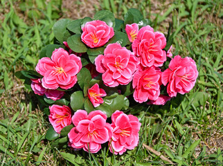 Artificial flowers in the grass