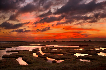 EVROS, GREECE. Sunset at the Delta of Evros river, Thrace, Greece.