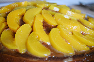 cake with bright slices of peaches