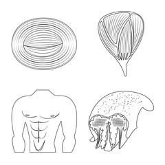 Isolated object of fiber and muscular logo. Collection of fiber and body vector icon for stock.
