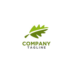 Leaf Logo design green color