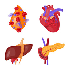 Vector illustration of anatomy and organ symbol. Collection of anatomy and medical vector icon for stock.