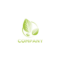 Leaf Logo design green color