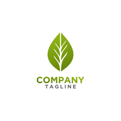 Leaf Logo design green color