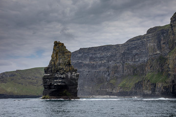Vogelfelsen an den Cliffs of Moher - Irland