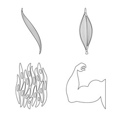 Vector design of fiber and muscular symbol. Collection of fiber and body stock symbol for web.