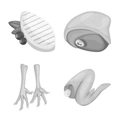 Vector design of cuisine and bird sign. Collection of cuisine and poultry stock symbol for web.