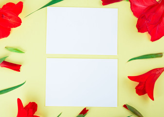 White card on a yellow background with gladiolus flowers