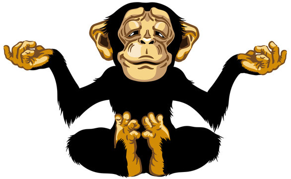 Cartoon Chimp Great Ape Or Chimpanzee Monkey Sitting In Lotus Joga Position And Meditating. Calm And Peaceful Emotion. Front View. Isolated Vector Illustration 