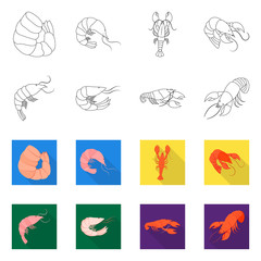 Isolated object of appetizer and ocean symbol. Collection of appetizer and delicacy stock symbol for web.