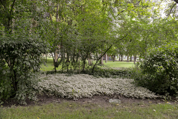 Parc Corbi&egrave;re, 78230, Le Pecq, Yvelines