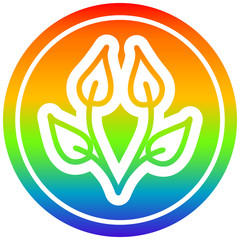 natural leaf circular in rainbow spectrum