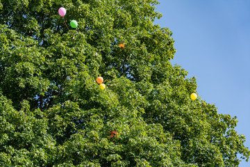 Balloon keeps hanging in tree Jugendfest Brugg Impressionen