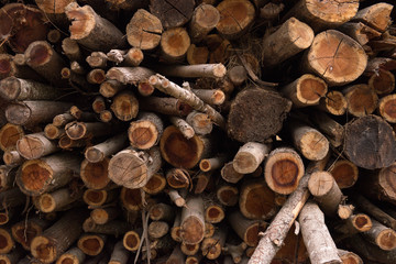 Wooden natural cut logs textured background, top view, flat lay