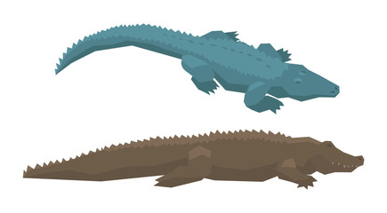 Crocodile vector cartoon crocodilian character of green alligator carnivore illustration animalistic set of dangerous amphibian predator with jaws isolated on white background