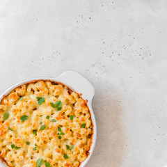 Pasta and Cheese Bake