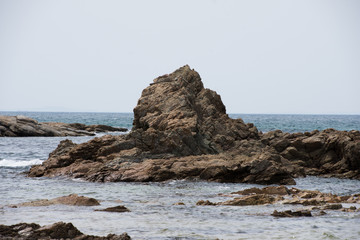 海の岩