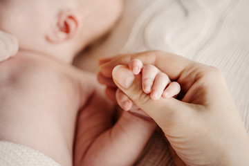 Little handle newborn baby in mom's big hand. Concept hrukosti and innocence