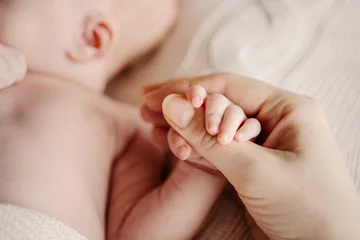 Fototapeten Little handle newborn baby in mom's big hand. Concept hrukosti and innocence © Irina