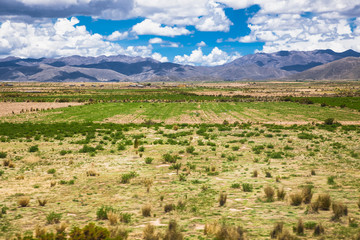 Fototapeta premium Beautiful landscape between Uyuni and La Paz, Bolivia. Desert landscape of Bolivia.