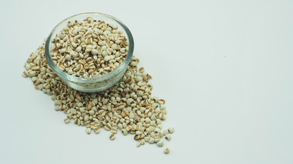 Job's Tears, also known as adlay and coix on white background. Popular in Asian cultures as a food source.