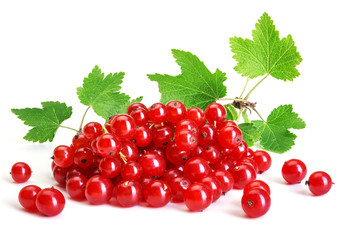 Red Currant close up isolated on white. Bunch of red currants on a white background