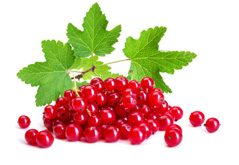 Bunch of red currant with leaf closeup on white background. Red Currant close up isolated on white