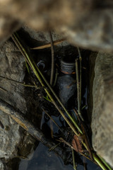 Hazardous waste, glass bottles in rocks, environmental pollution