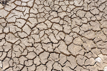 cracked clay ground into the dry season