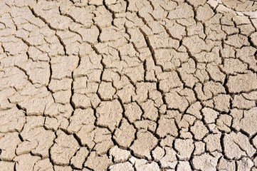 cracked clay ground into the dry season