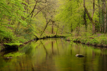 Fototapeta na wymiar Stunning peaceful Spring landscape image of River Teign flowing through lush green forest in English countryside