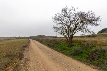 rural road