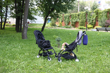 two strollers are in the Park