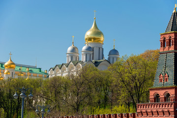 Fototapeta na wymiar Moscow, Russia - May 6, 2019: View of the Moscow Kremlin, the Annunciation Cathedral on a summer day