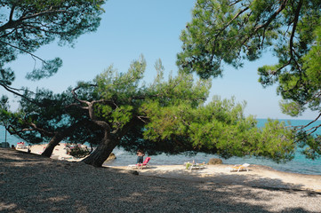 The cleanest beaches in the world. Paradise beach is a calm Sunny beach on the coastline. The seasonal landscape of Croatia invites to Hiking, camping lifestyle, rest