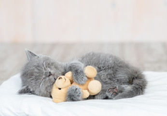 Baby kitten sleeping with toy bear on the bed at home