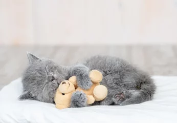 Fototapeten Babykätzchen, das zu Hause mit Spielzeugbären auf dem Bett schläft © Ermolaev Alexandr