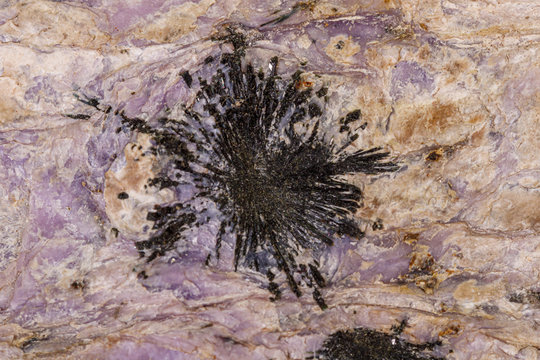 Macro stone Aegirine in charoite on white background