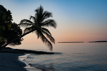 Island sunset - Vilamendhoo, Maldives