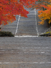 京都　二尊院の紅葉