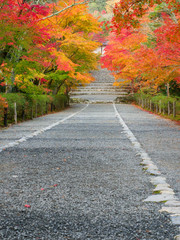 京都　二尊院の紅葉