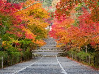 京都　二尊院の紅葉